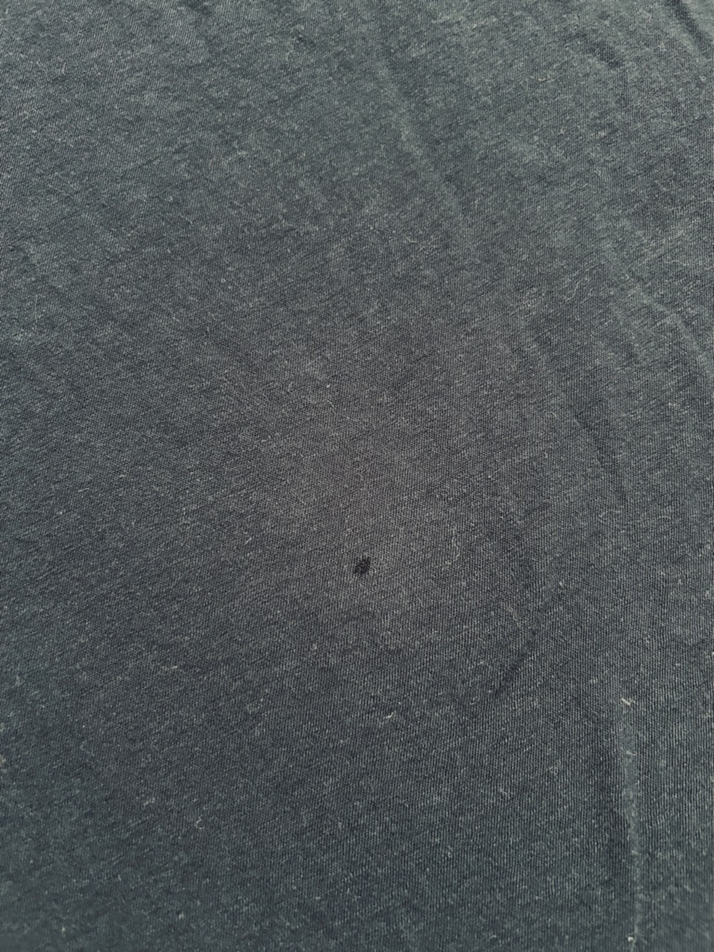 Everlane Crew Neck T-Shirt in Navy - Picture 2 of 5